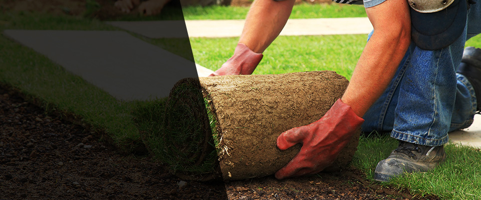 Milledgeville Landscapers